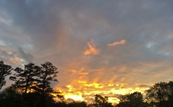 Choose Good Stuff - Sunset