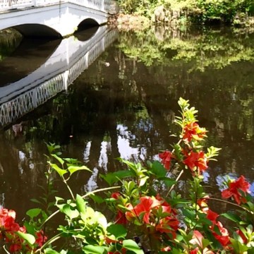 Bridge, Lake and Flowers in SC